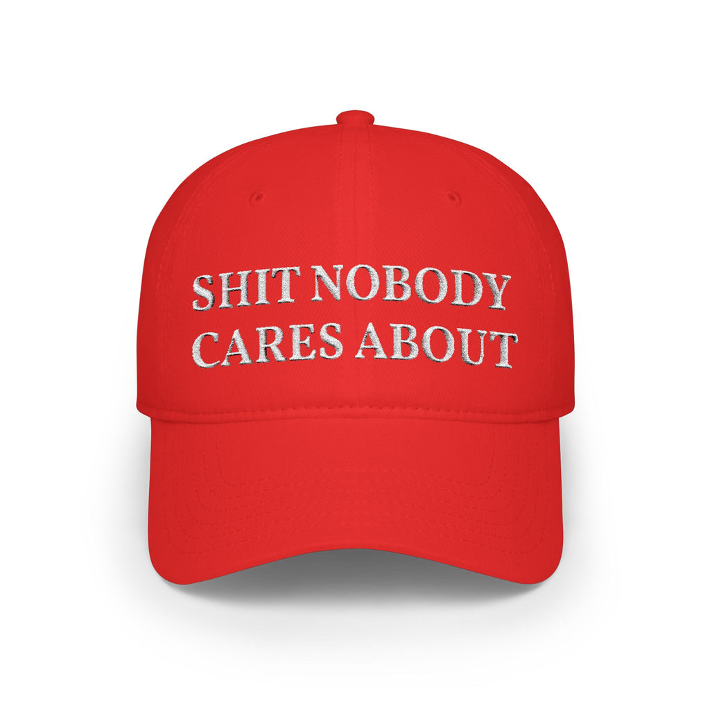 Shit Nobody Cares About Baseball Hat