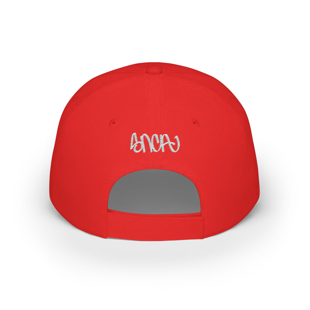 Shit Nobody Cares About Baseball Hat